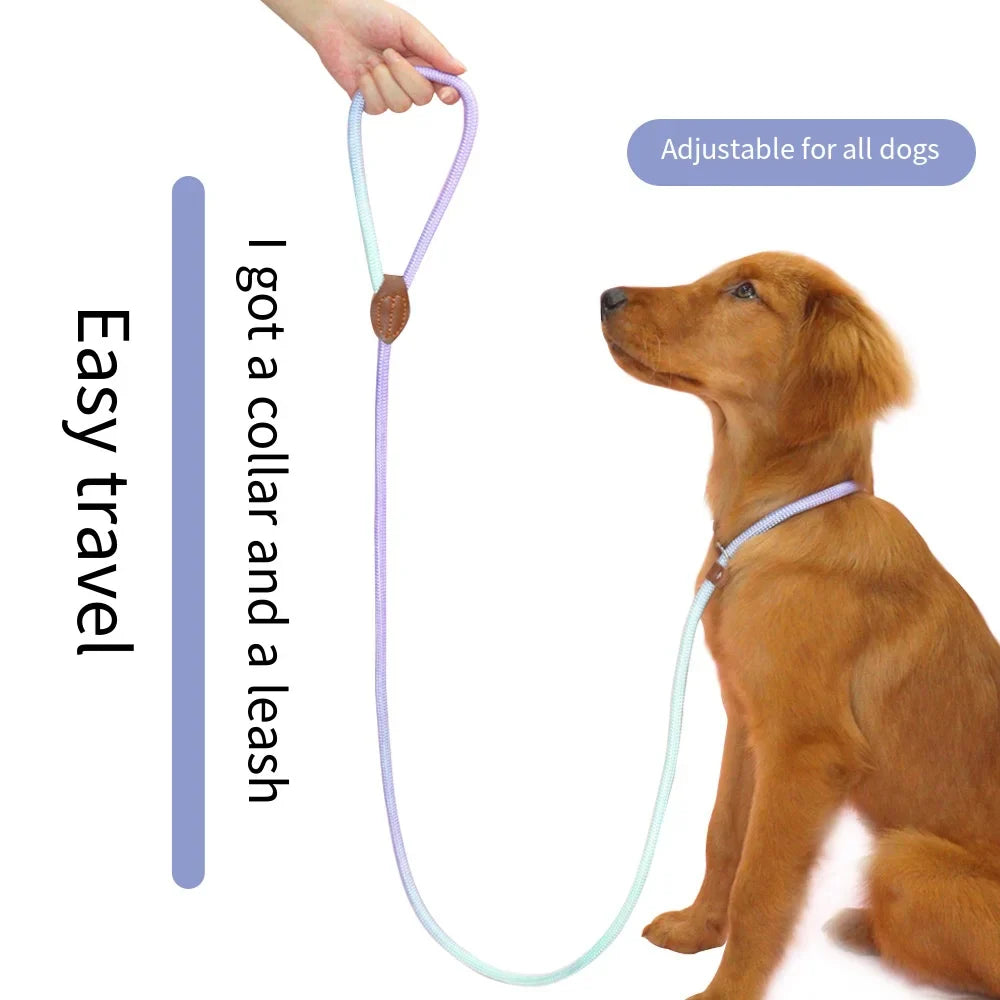 Durable Nylon Dog Leash for Puppies and Adult Dogs-My Little Pet