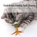 Feather Catnip Ball Toy for Cats - Enhances Digestion and Dental Health-My Little Pet
