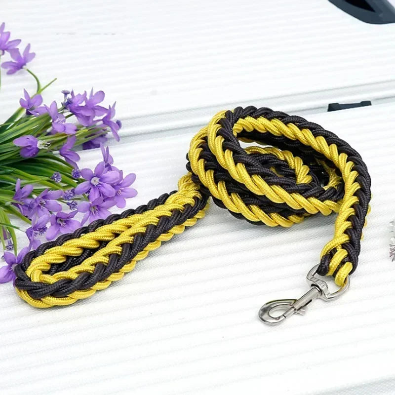 Nylon Dog Leash for Medium to Large Dogs – Training & Walking Lead - My Little Pet
