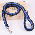 Nylon Dog Leash for Medium to Large Dogs – Training & Walking Lead - My Little Pet