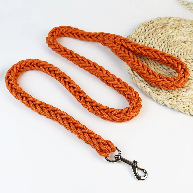 Nylon Dog Leash for Medium to Large Dogs – Training & Walking Lead - My Little Pet