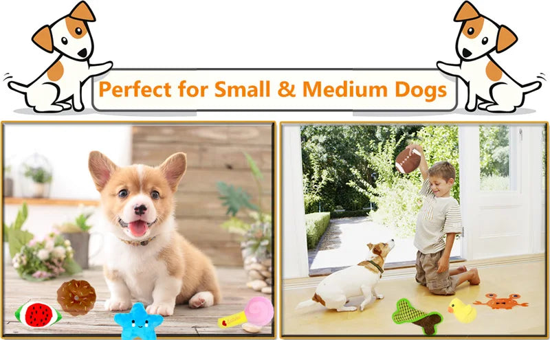 Deluxe Fleece Squeaky Toy Collection for Small to Medium Dogs-My Little Pet