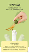 Feather Catnip Ball Toy for Cats - Enhances Digestion and Dental Health-My Little Pet