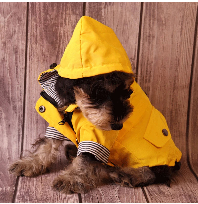 Waterproof Dog Jacket for All Breeds - Warm and Windproof-My Little Pet
