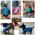 Warm Fleece Vest for Small Dogs - Winter Apparel for Puppies and Small Breeds-My Little Pet