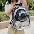 Transparent Bubble Cat Backpack - Portable Breathable Pet Travel Carrier-My Little Pet