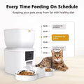 Furpipi 8L Smart Automatic Cat and Dog Feeder with HD Camera-My Little Pet