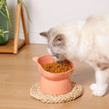 Ergonomic Elevated Pet Bowl for Dogs and Cats-My Little Pet