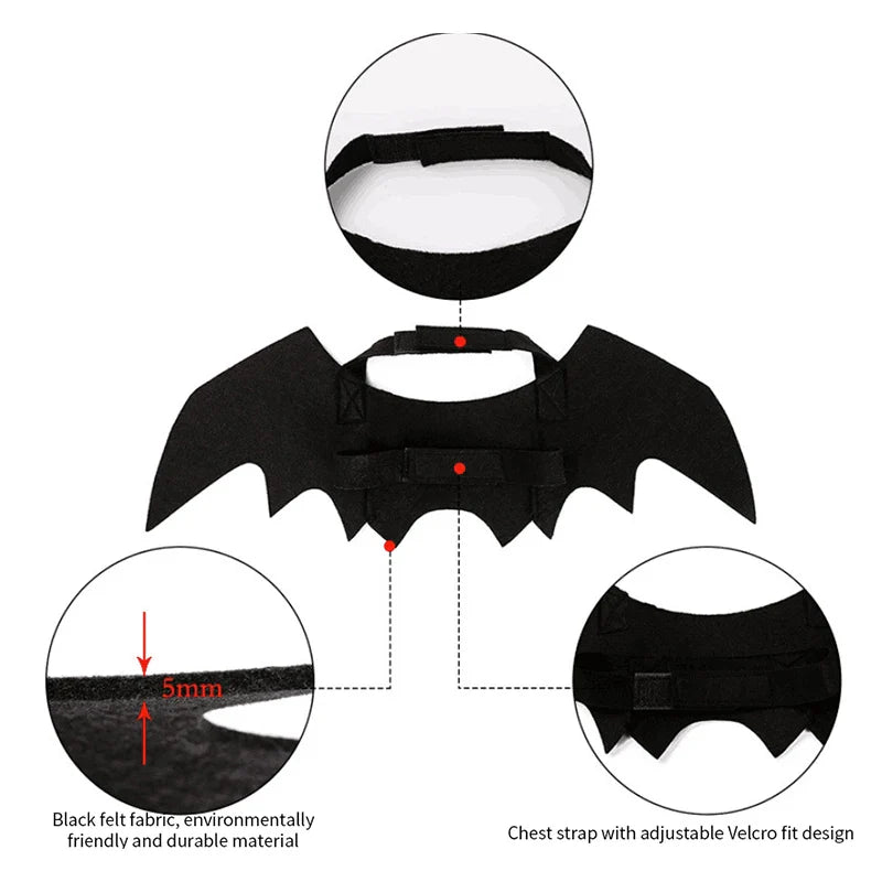 Fashion Cat Bat Wings Halloween Costume-My Little Pet