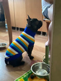 Cozy Knitted Sweater for Small to Medium Dogs and Cats-My Little Pet
