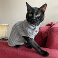 Cozy Knit Sweater for Sphynx Cats and Small Pets-My Little Pet