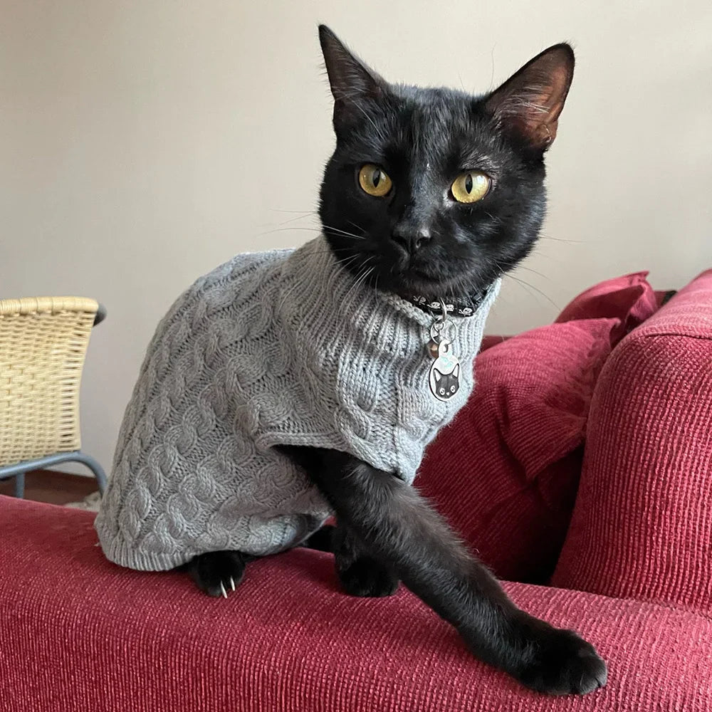 Cozy Knit Sweater for Sphynx Cats and Small Pets-My Little Pet