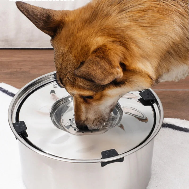 Premium Stainless Steel Anti-Splash Water Bowl for Pets-My Little Pet