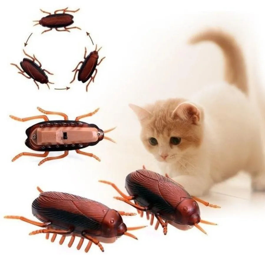 Interactive Cockroach Simulation Toy for Cats-My Little Pet