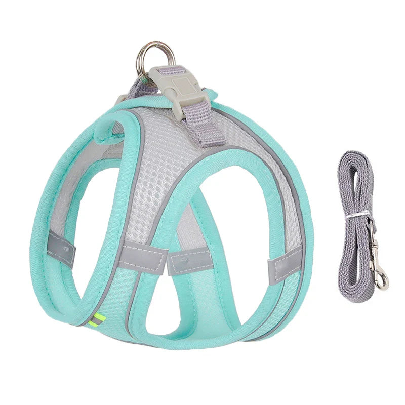 Adjustable Dog Harness and Leash Set for Small Dogs – Comfortable Walking Vest for Puppies and Cats - My Little Pet