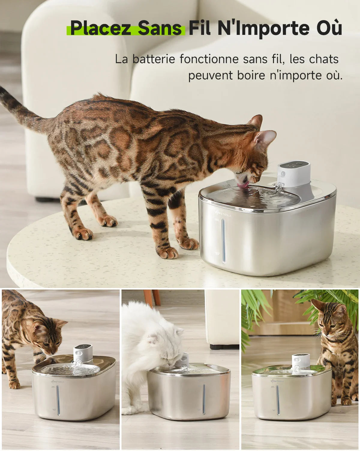 4L Wireless Cat Water Fountain with Auto Sensor-My Little Pet