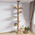 Floor-to-Ceiling Cat Tree Tower-My Little Pet