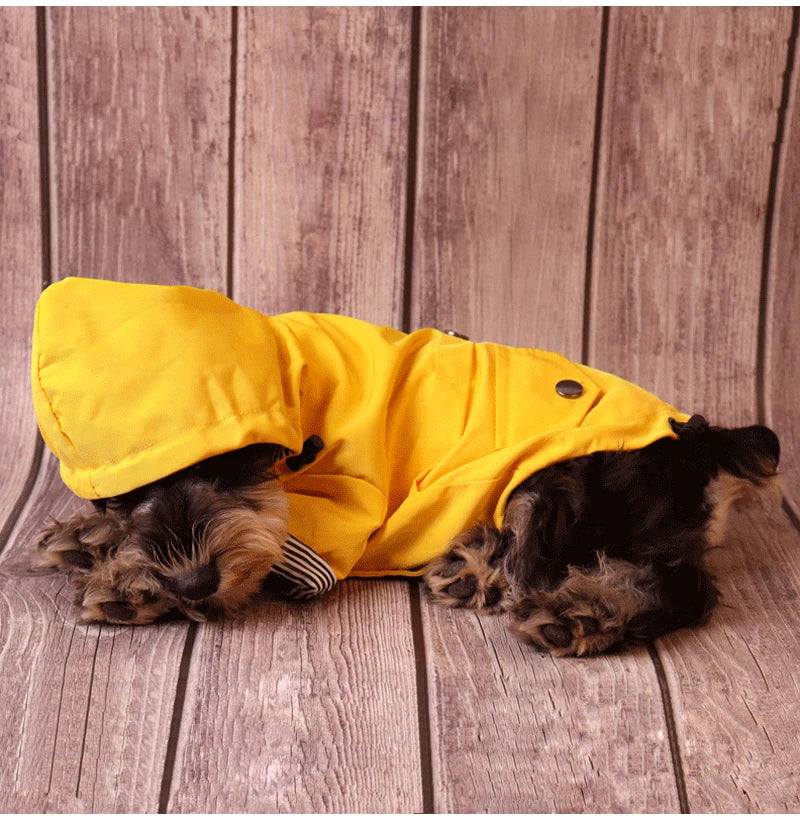 Waterproof Dog Jacket for All Breeds - Warm and Windproof-My Little Pet