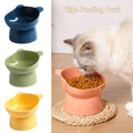 Ergonomic Elevated Pet Bowl for Dogs and Cats-My Little Pet