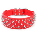 Adjustable Spiked Dog Collar for Small to Medium Dogs - Anti-Bite, Studded Design-My Little Pet
