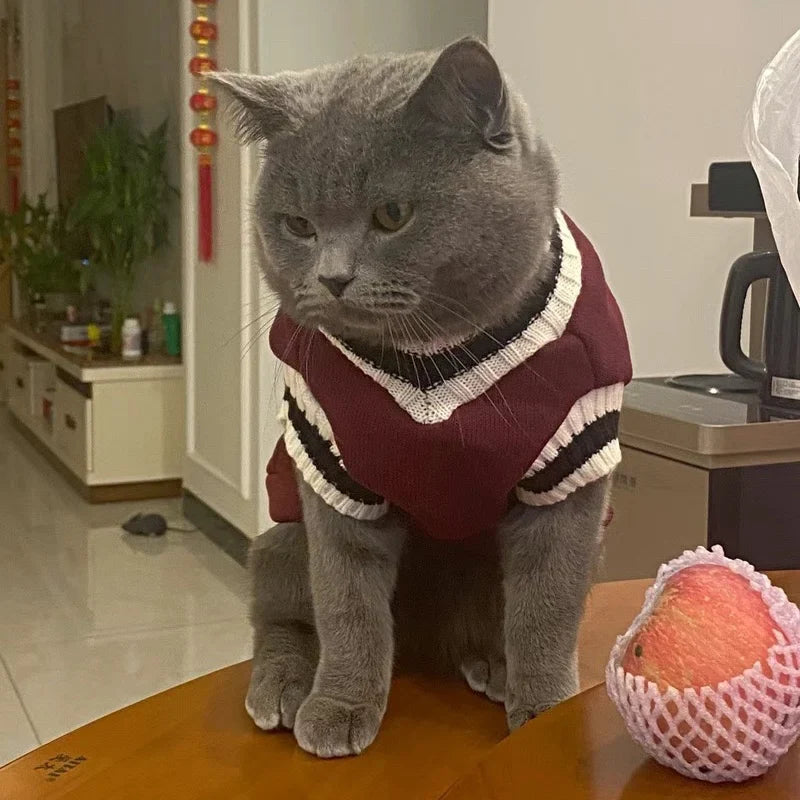 Cozy Autumn/Winter Pet Sweater for Cats and Small Dogs-My Little Pet
