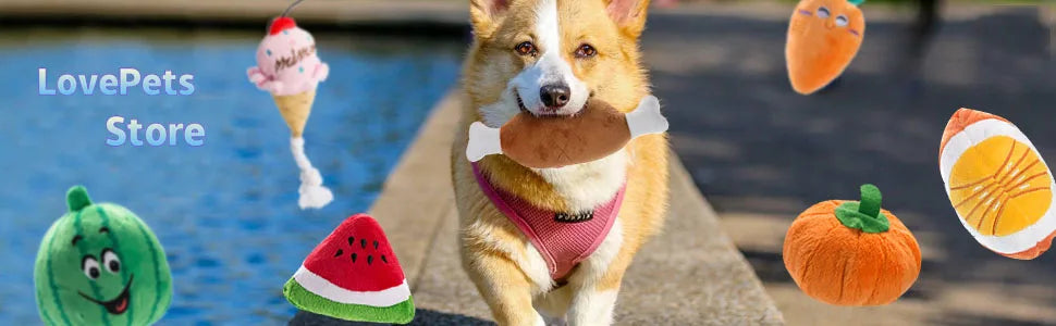 Deluxe Fleece Squeaky Toy Collection for Small to Medium Dogs-My Little Pet