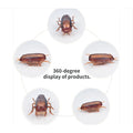 Interactive Cockroach Simulation Toy for Cats-My Little Pet