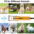 380W Professional Pet Hair Trimmer for Cats, Dogs, Rabbits, and Sheep-My Little Pet