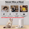 4L Smart Automatic Pet Feeder for Cats and Dogs-My Little Pet