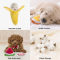Deluxe Fleece Squeaky Toy Collection for Small to Medium Dogs-My Little Pet