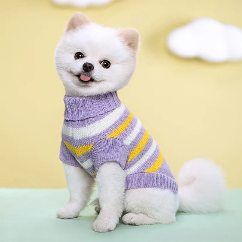 Classic Knit Sweater for Small to Medium Dogs-My Little Pet