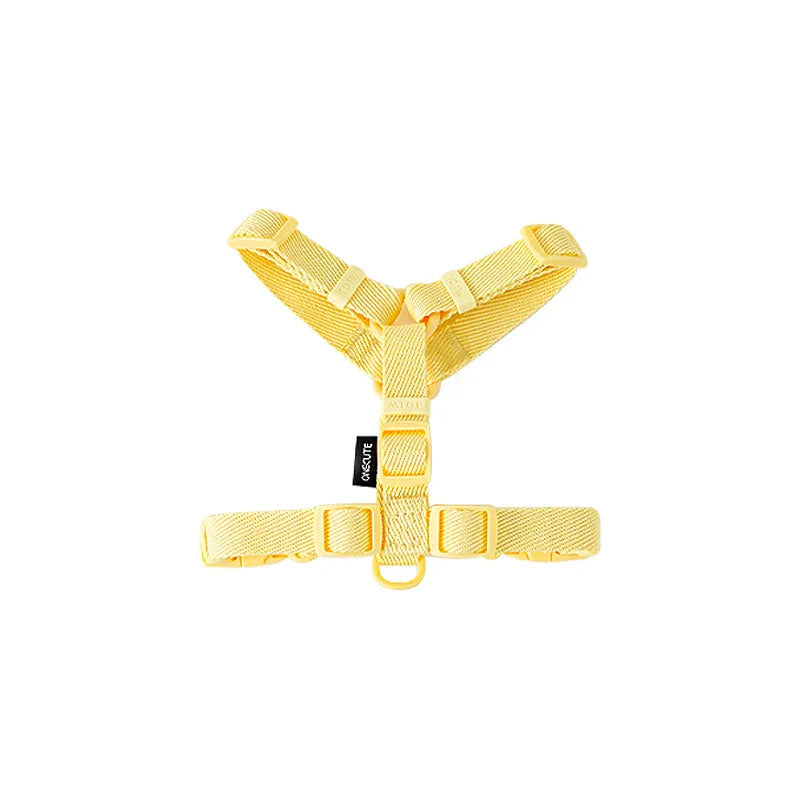 Macarone Color Pet Harness and Leash Set for Small Dogs and Cats-My Little Pet