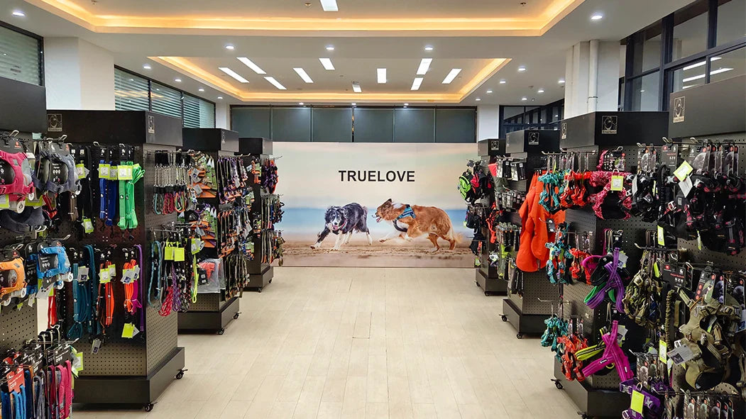 Truelove Spring Floral Pet Leash for Small to Medium Dogs and Cats-My Little Pet