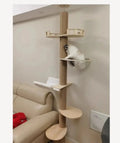 Floor-to-Ceiling Cat Tree Tower-My Little Pet