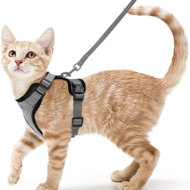 Escape-Proof Cat Harness and Leash – Soft Adjustable Vest for Walking-My Little Pet