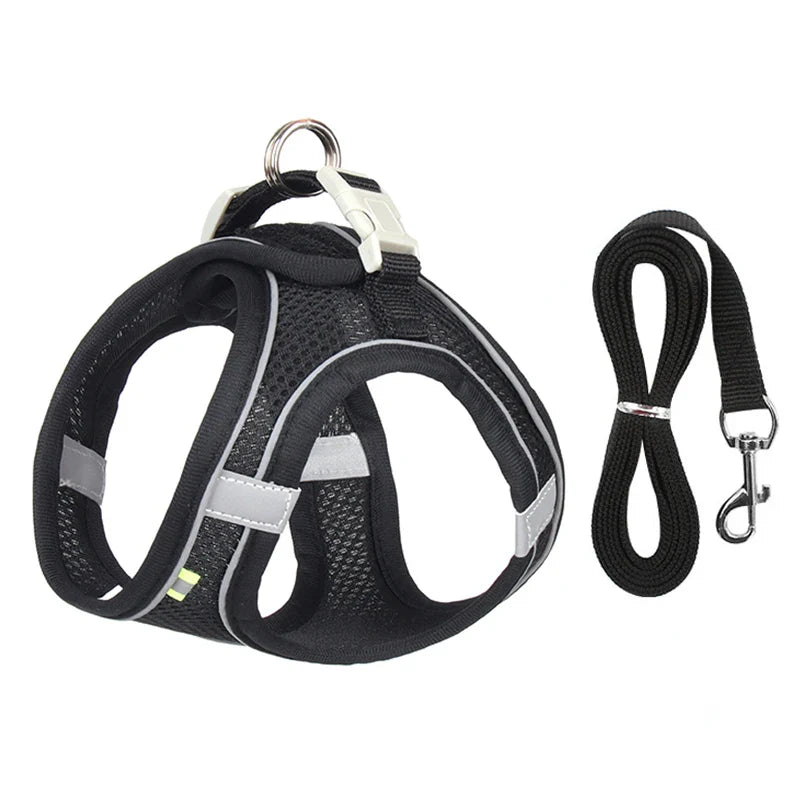 Adjustable Dog Harness and Leash Set for Small Dogs – Comfortable Walking Vest for Puppies and Cats - My Little Pet
