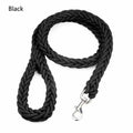 Nylon Dog Leash for Medium to Large Dogs – Training & Walking Lead - My Little Pet