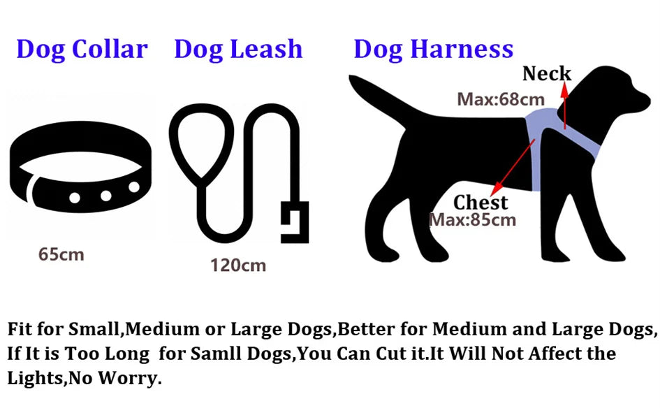 Rechargeable LED Dog Leash for Enhanced Nighttime Safety-My Little Pet