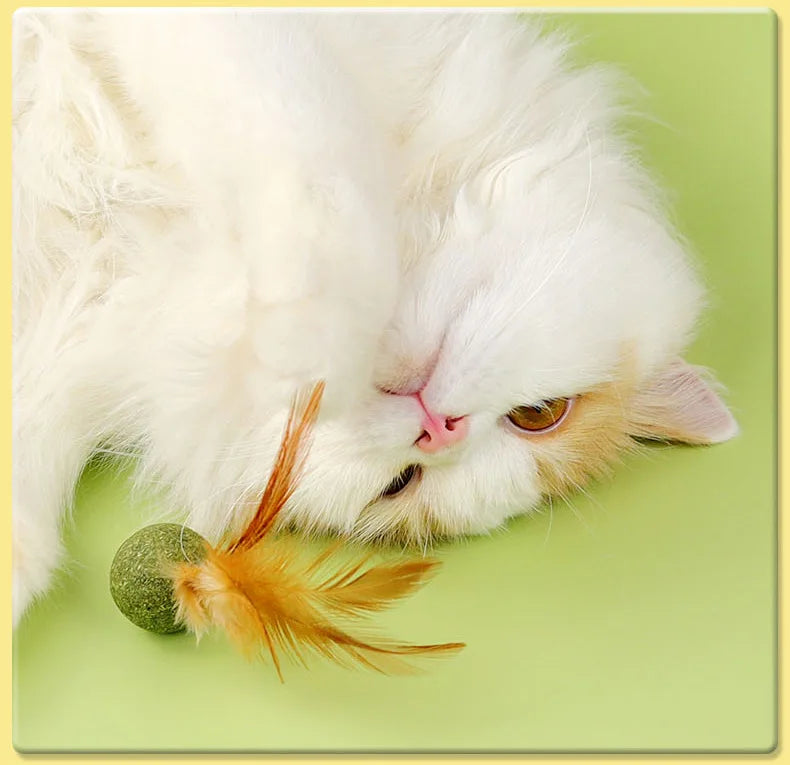 Feather Catnip Ball Toy for Cats - Enhances Digestion and Dental Health-My Little Pet