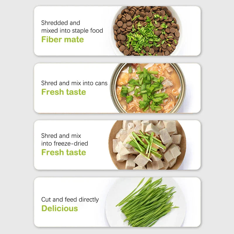 Cat Grass Planting Hydroponic Box-My Little Pet