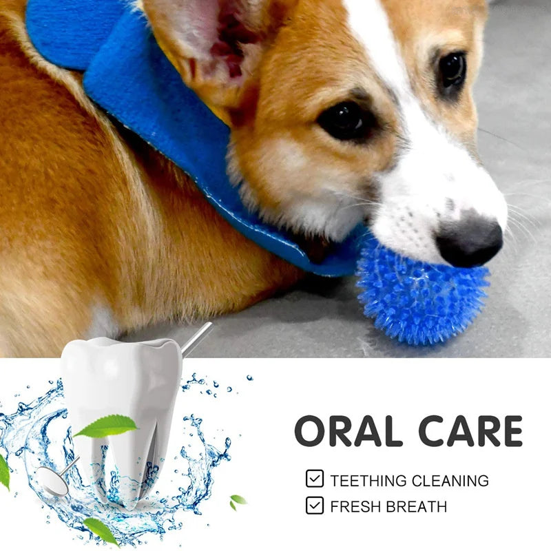 Durable Dog Chew Ball with Teeth Cleaning Features-My Little Pet