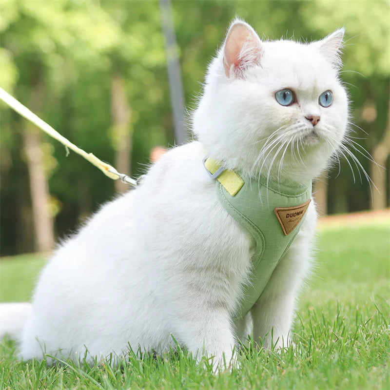 Fashionable Cat and Dog Harness with Leash – Comfortable Outdoor Walking Set-My Little Pet
