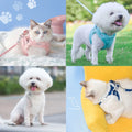 Deluxe Winter Harness and Leash Set for Small Pets-My Little Pet