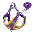 Adjustable Dog Harness & Leash Set – Reflective Vest for Small to Medium Dogs - My Little Pet
