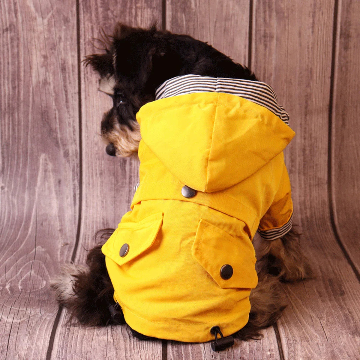 Waterproof Dog Jacket for All Breeds - Warm and Windproof-My Little Pet