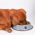 Stainless Steel Pet Bowls with Non-Slip Base – Multiple Sizes - My Little Pet