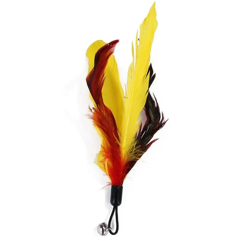 11-Piece Retractable Cat Feather Toy Set-My Little Pet