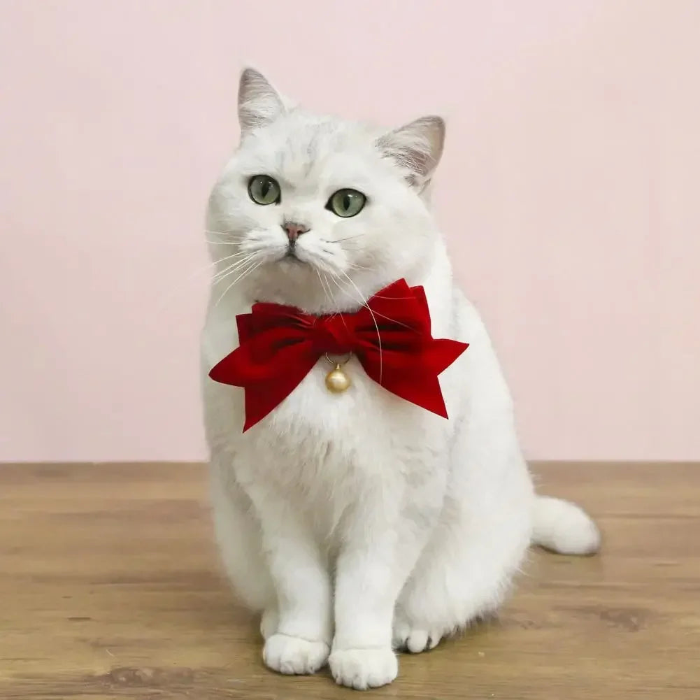 Elegant Velvet Cat Collar with Bowknot and Bell-My Little Pet