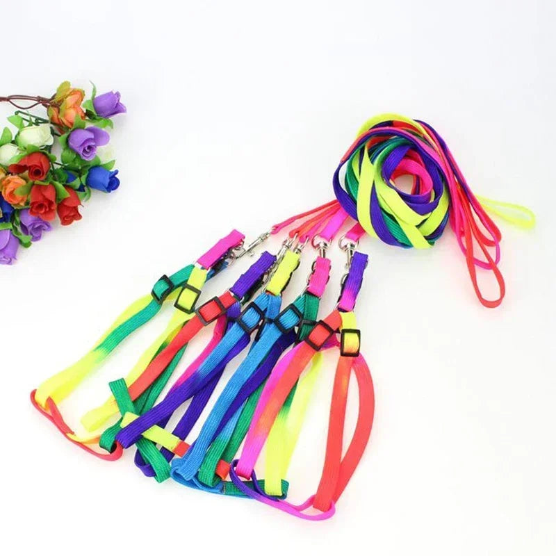 Colorful Rainbow Pet Harness and Leash Set-My Little Pet