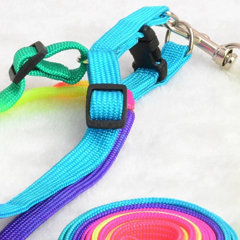 Colorful Rainbow Pet Harness and Leash Set-My Little Pet